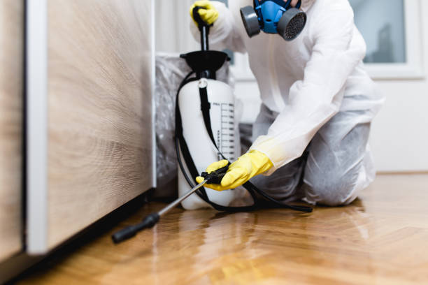 Best Emergency Pest Control  in Falmouth, KY