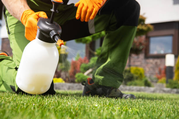 Best Affordable Pest Control Services  in Falmouth, KY