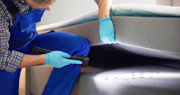 Best Wasp Removal Services  in Falmouth, KY