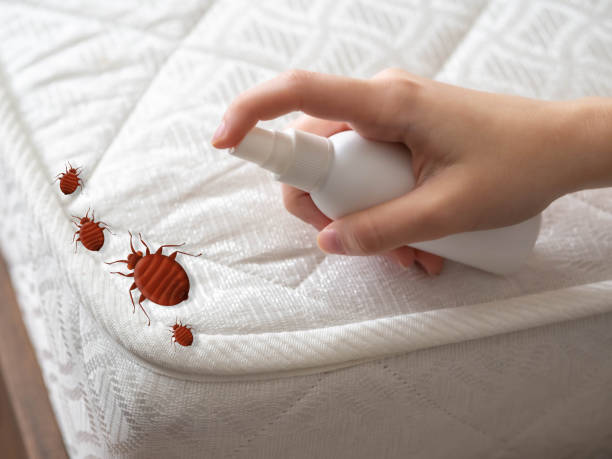 Best Bed Bug Extermination  in Falmouth, KY