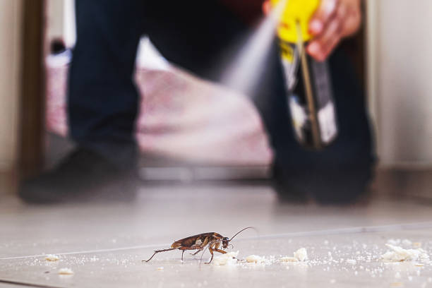 Best Best Pest Control Companies  in Falmouth, KY